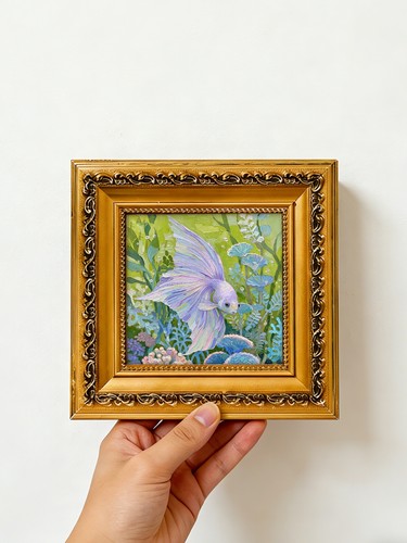 Pastel betta fish - betta,