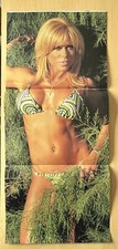 Rare WWE Divas Terri Runnels Poster + WWF Magazine 2003 Mint Condition