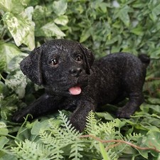 Vivid Arts - Active Pup Black