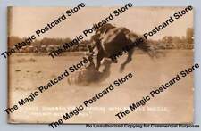 Antique Rodeo Photo "Cage