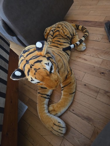 Tiger large life - large,