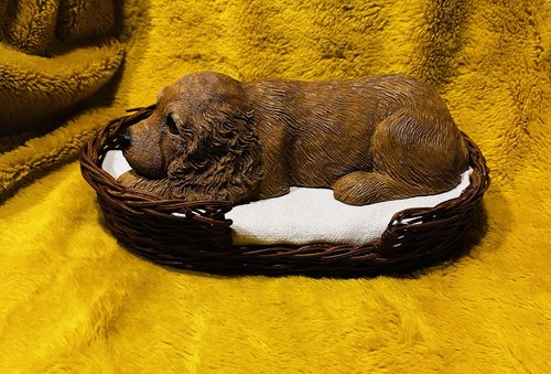 Sandicast cocker spaniel puppy - cocker,