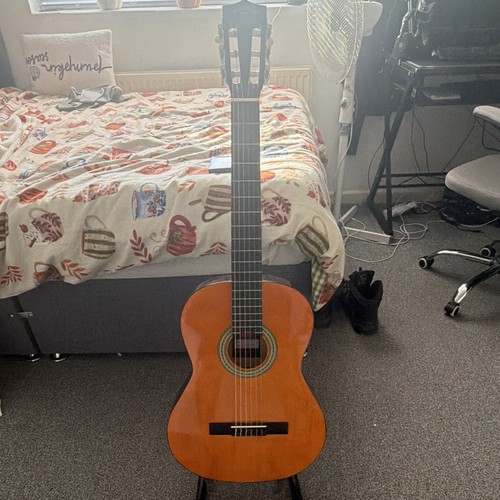 Acoustic guitar with strings - with, 6-strings
