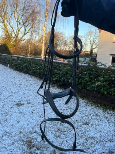 Albion bridle cob size - kb,