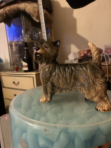 Cooper craft cairn terrier - cooper,