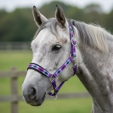 POLO HEADCOLLAR HEAD COLLAR
