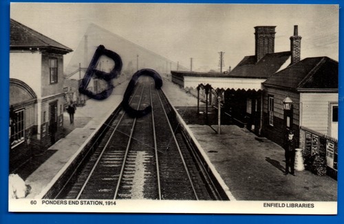 Repro postcard ponders - repro,