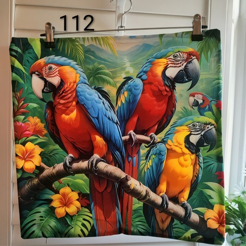Parrots tropical setting - parrots, in