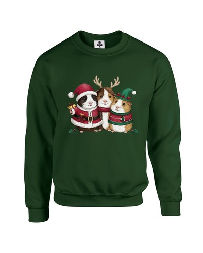 Festive guinea pigs trio kids - pigs,