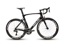 Dolan Rebus (LRG- Gloss