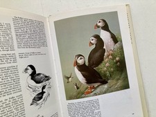 Birds of Coast and Sea