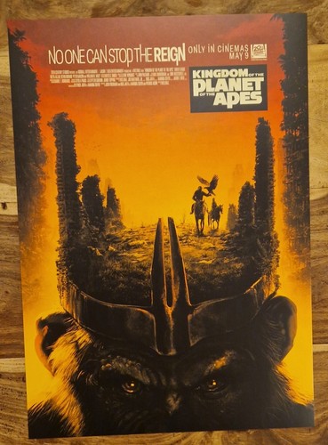 Cineworld exclusive kingdom - exclusive,
