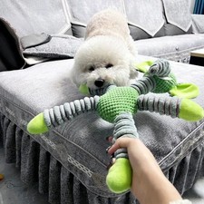 Indestructible Squeaky Plush
