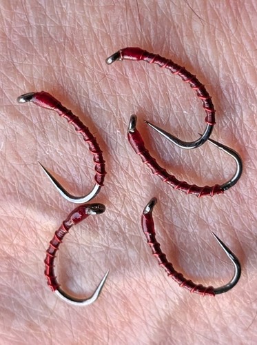 Bloodworm trout buzzers - x,
