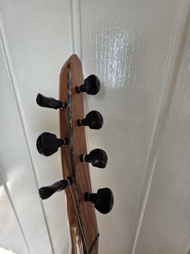 Kurdish saz instrument - saz,