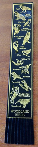 Rspb woodland birds black - woodland,