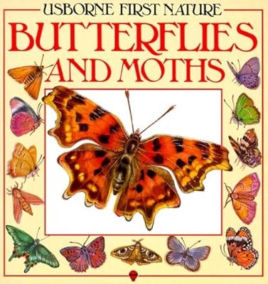 Butterflies and moths - and,