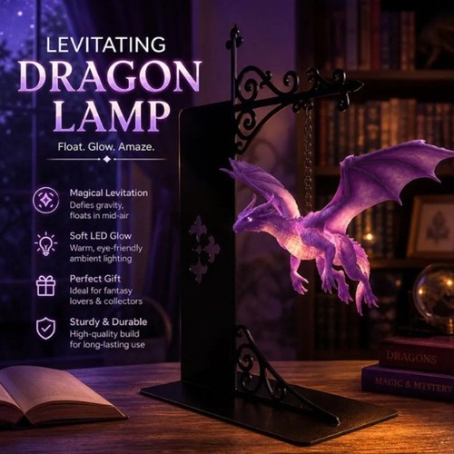 2026 dragon bookshelf - 2026,