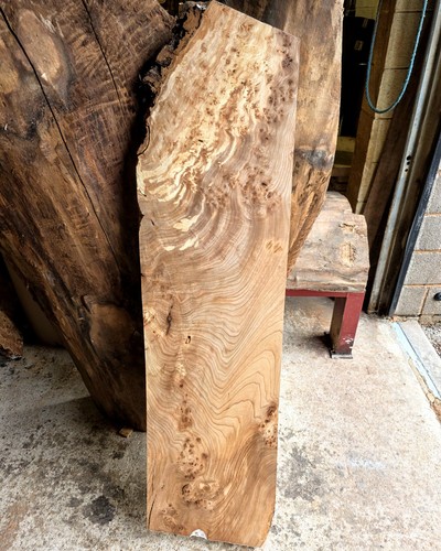 Elm burl wood - elm,
