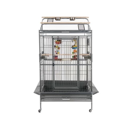 Rainforest cages santos - cages,