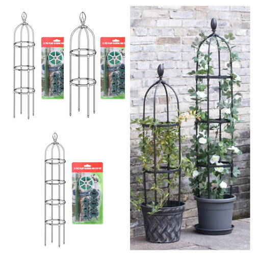 Sizes climbing plants - climbing,