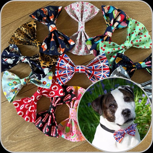 Dog pet slide collar - collar, bow