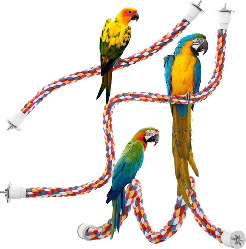 Bird bungee rope perch - bungee,
