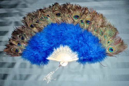 Vintage peacock ostrich - vintage,