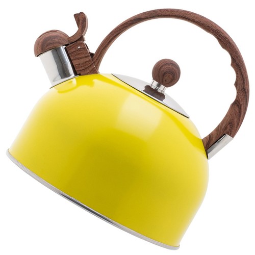 Whistling tea kettle for stove - kettle,
