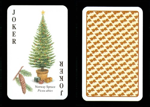 Joker playing card - 1, x