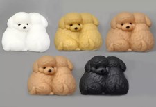 Mini Figure Set of 5 types "Both are the main characters! Toy poodle"