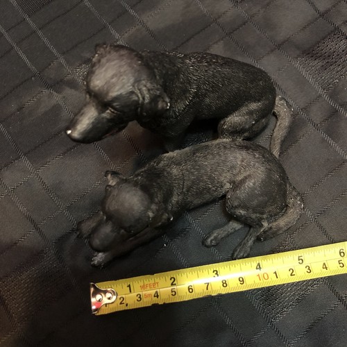 Vintage black labradors - black, (puppy