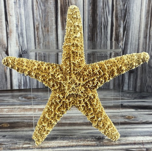 Real starfish seashell - starfish, (b)