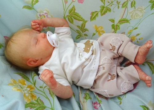 Reborn small newborn - baby, cal