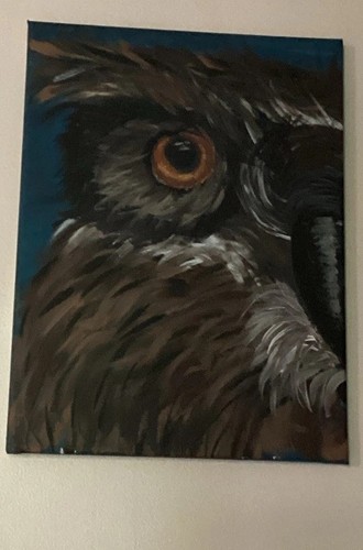 Hand painted owl - bird, painting