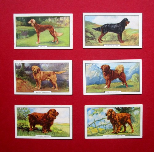 Gallaher six vintage - six,