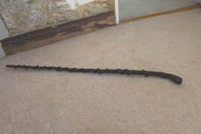 Thorn knobbly wood  Walking