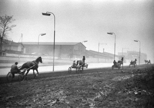 Training horses for sulky - training, a