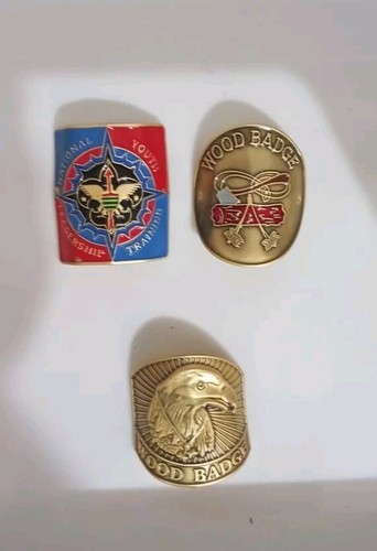 Boy scout metal badges - scout,
