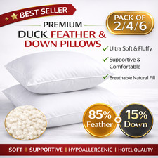 Duck feather down - duck,