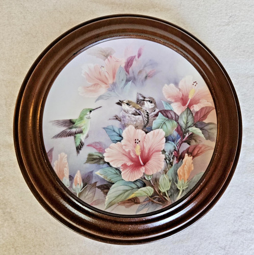 Hummingbird framed collector - hummingbird,