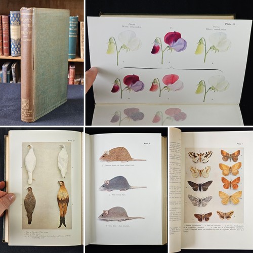 1909 mendel principles of - mendel's,