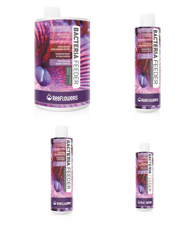 Reeflowers bacteria feeder - bacteria, new