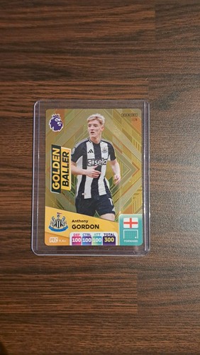 Panini adrenalyn premier - panini, xl