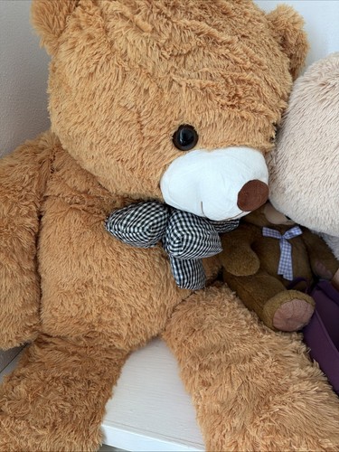 Large soft plush teddy - soft, bear