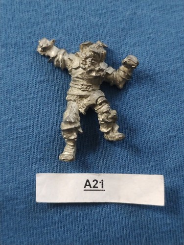 Chaos warrior casualty - casualty,