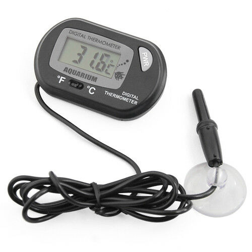 Digital lcd thermometer - digital,