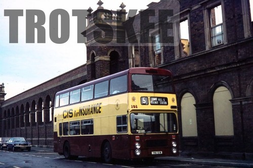 35mm slide chester dennis - chester,