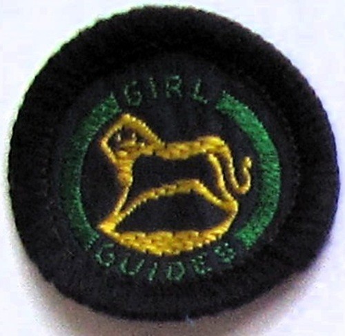 Girl guide interest badge - interest,