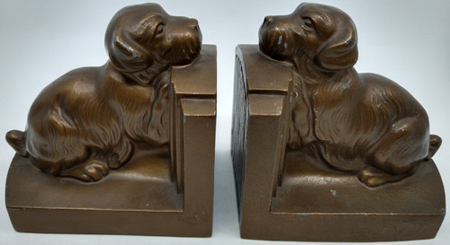 Sealyham cesky terrier bronze - cesky,